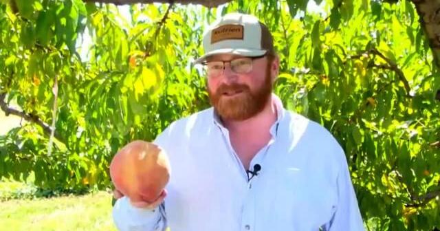Orchard earns Guinness World Record