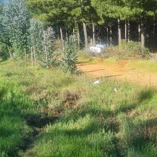 Accidente vehicular moviliza a equipos de emergencia de Pichilemu