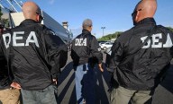 Golpea la DEA al Cártel de Sinaloa; 617 detenidos y más de 10 toneladas de drogas incautadas