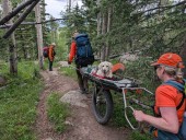 Pet rescues rising: When is it safe to hike with your dog?