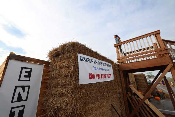 The Great Maze aims to break World Record with new cedar panel maze
