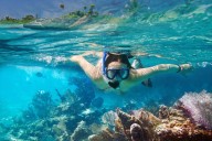Woman Goes Snorkeling in Mexico—Later Realizes What Was Lurking Beneath