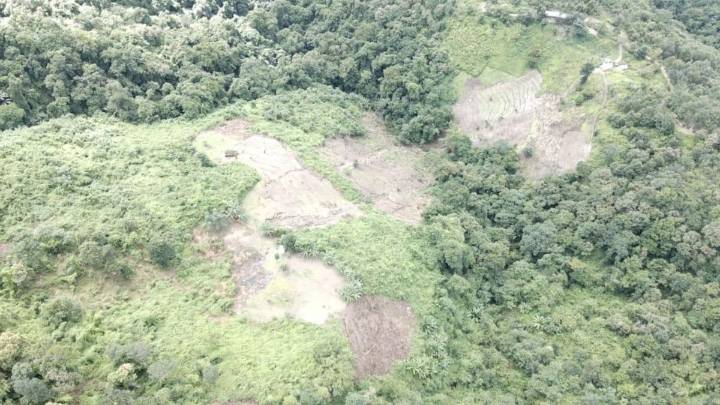 Drones expose 13 hectares of illegal poppy cultivation in Manipur forest