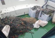 Nuevo golpe a la pesca furtiva: Se incautan otros 400 metros de redes ilegales en el Parque Natural de las Marismas de Santoña