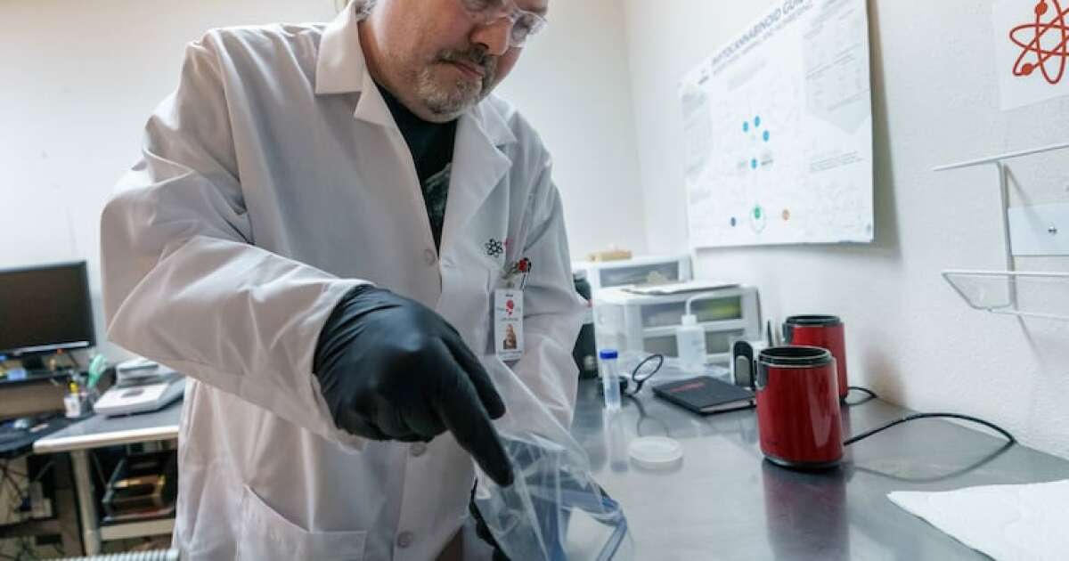 Oregon researchers say some 'magic mushroom' edibles sold in stores contain no psilocybin