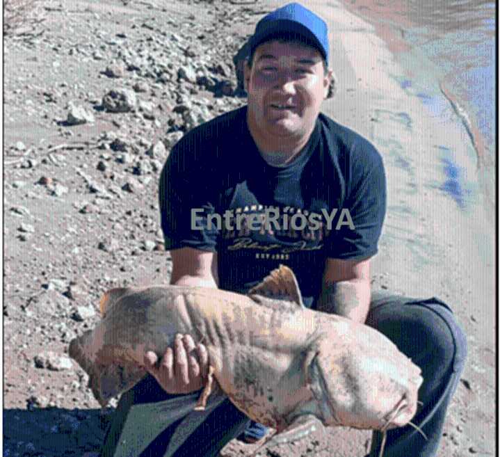Pescador entrerriano logró capturar una rara especie de 25 kilos en el río Paraná