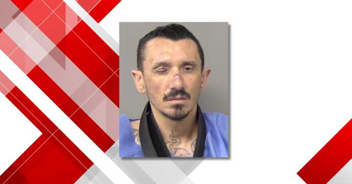Macon man enters plea after pointing gun at police, stealing squad car