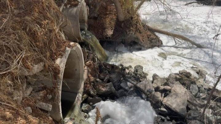 Llama a exigir acciones ante crisis ambiental