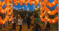Halloween events in Bristol to get excited about now gloomier weather is here