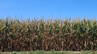 Indianapolis forecast shows temps in the 90s, drought possible
