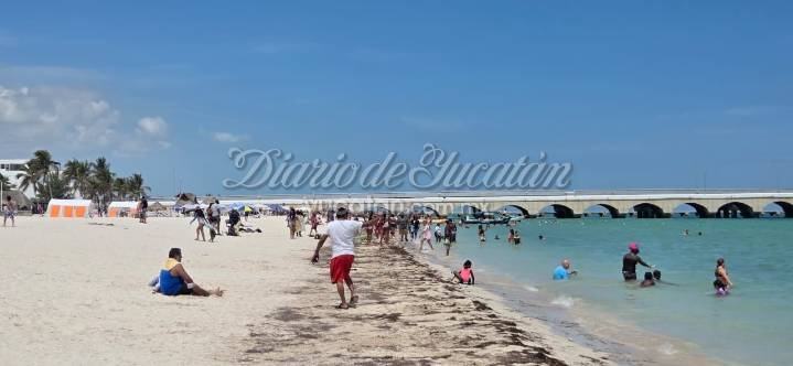 Jornada de crucero en Progreso fortalece la actividad turística y económica