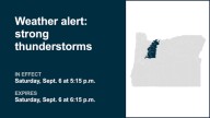 Update: Thunderstorms with penny-sized hail in Cascades Saturday – gusts to hit 40 mph