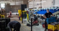 México debe evitar caer en el proteccionismo estadounidense