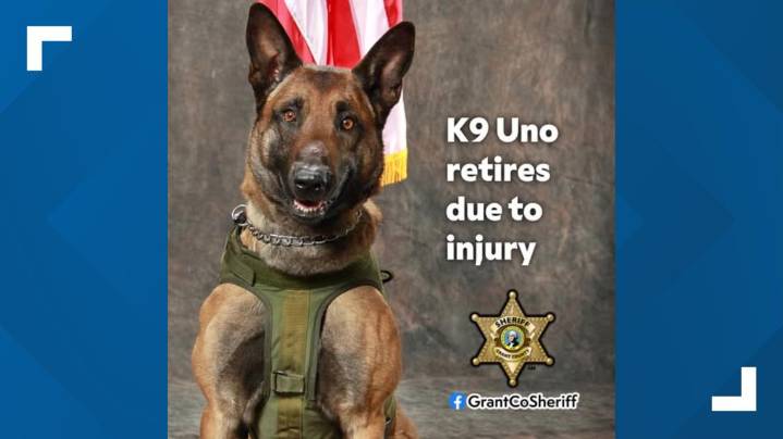 Grant County K9 Uno retires due to severe neck injury