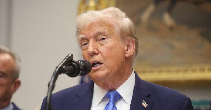 The Great Replacement Theory Explained — and Where Trump Stands