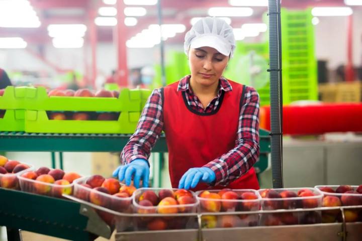 Día de la Gastronomía Peruana: conoce las carreras técnicas más demandadas del sector
