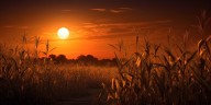 October’s Supermoon: What the Harvest Moon’s glow reveals about ancient traditions and modern wonders
