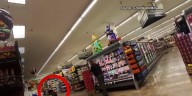 WATCH: Bear cub runs through southern Arizona grocery store