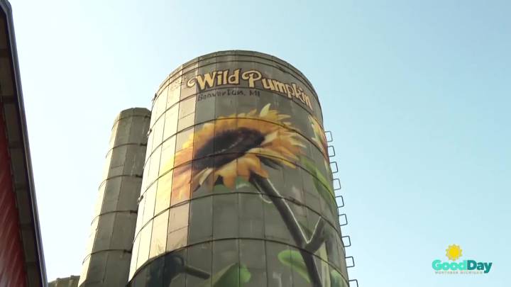 Business In Focus: The Wild Pumpkin