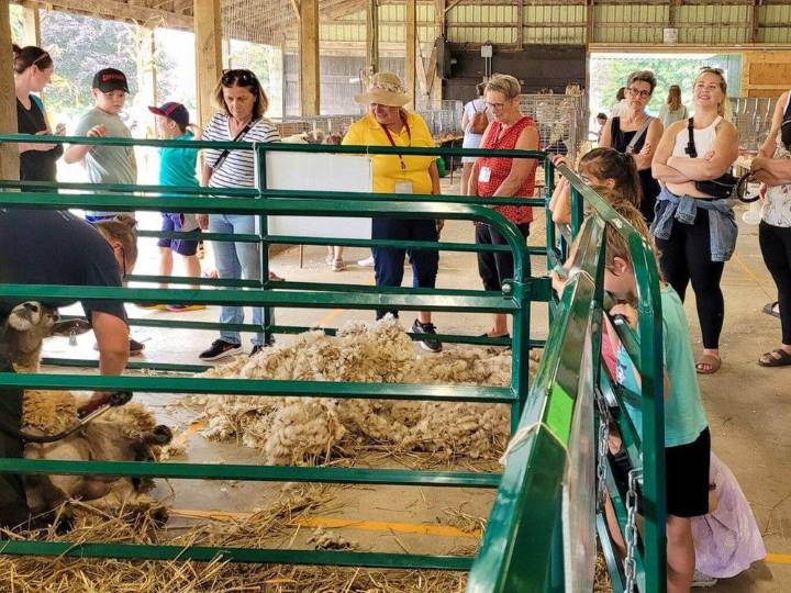 Annual Drumbo Fair to celebrate 175 years