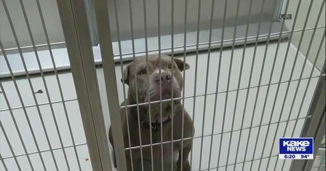 New animal shelter opening in Wichita next month