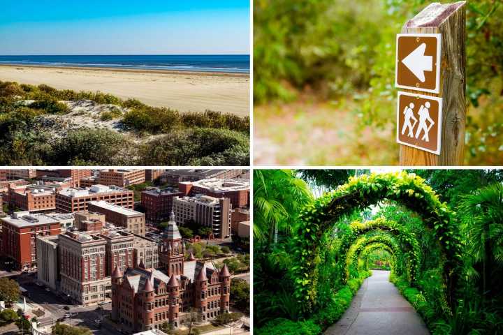 Free Things to Do in Texas Without Spending Any Money