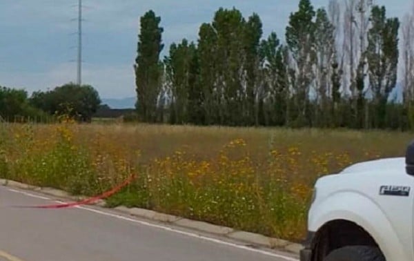 Encuentran osamenta en campo menonita