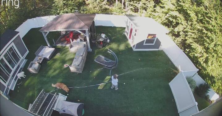 Shooting that killed Shrewsbury father heard on home security camera video released in court