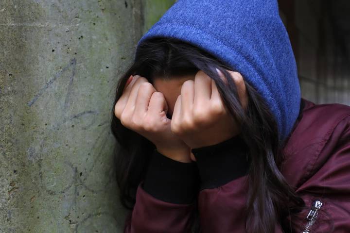 Domestic abuse commissioner says Government lacks momentum to meet VAWG target