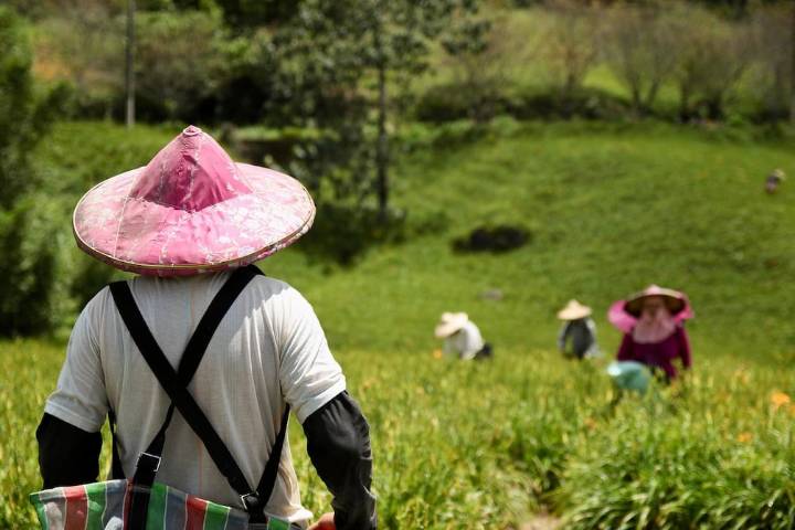 ‘Mis padres me extrañarían, pero esto es una gran oportunidad para mí’: agricultores ecuatorianos aplican a programa Migración Circular para trabajar en otros países
