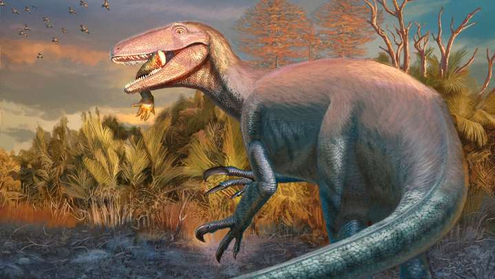 Hallan en Argentina restos de un megaraptor