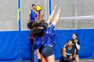 Selección femenina de voleibol se alista para Campeonato Suramericano