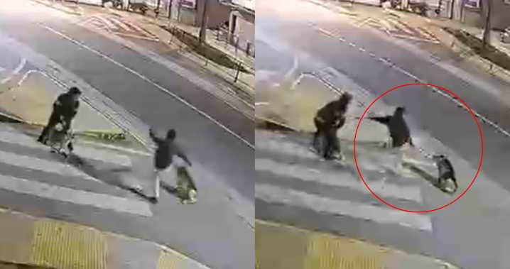 Sujeto golpea brutalmente a perro comunitario en Villa Alemana y lo deja con traumatismo craneal