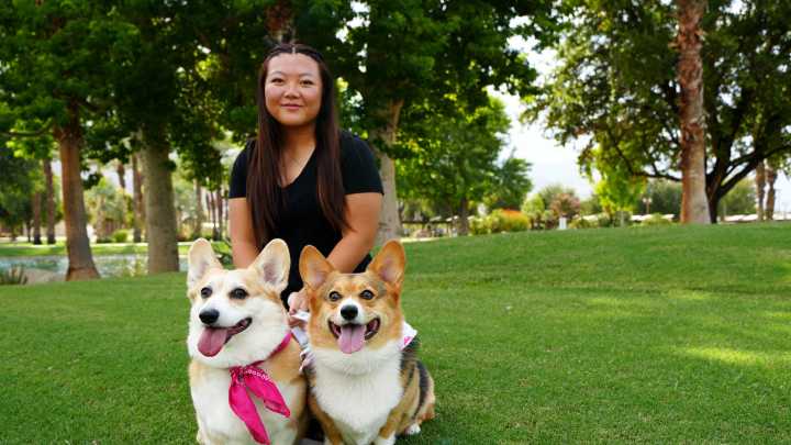 Meet Tiffany Chang: Founder of Corgis Against Mental Illness