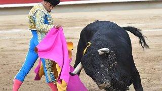 Tauromaquia en debate: entre la prohibición en Colombia y las voces que la defienden en el mundo