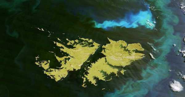 El descubrimiento sin precedentes en las Islas Malvinas que podría cambiar por completo la historia