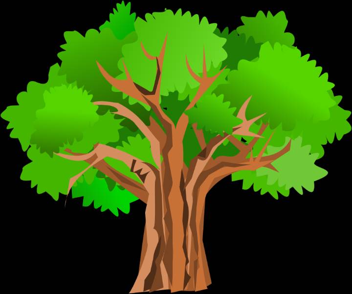 Support Grows For ‘Fix Our Forests Act’