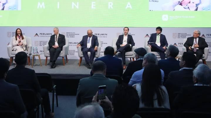 Demanda de electricidad en próximos 10 años en Perú, ¿cómo se abastecería?