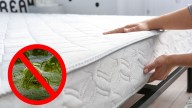 Eliminar los malos olores y ácaros del colchón: el eficaz truco que pocos ponen en práctica