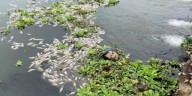 Enésimo anuncio para rescatar el Río los Perros en Juchitán