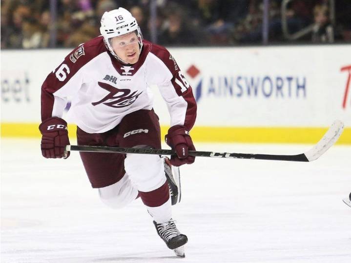 Brady Stonehouse, Deni Goure play for NHL prospects teams