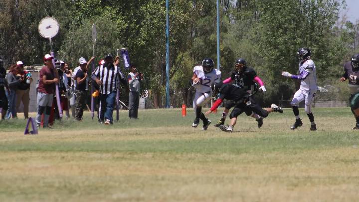 Cuervos cerraron preparación y están listos para recibir a Bisontes