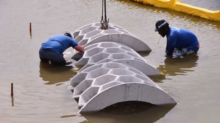 Brevard adds "Reef Arches" to help shore up A. Max Brewer Causeway