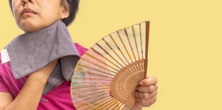Millie Introduces Perimenopause and Menopause Program