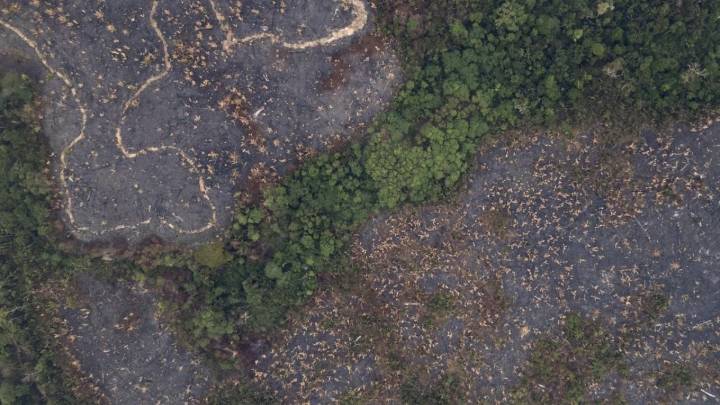 La deforestación es la principal responsable de la reducción de las lluvias en la Amazonía en época de secas