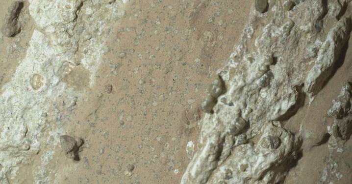 Nuevos hallazgos de la NASA en Marte proporcionan indicios sólidos de vida antigua