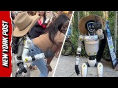Who’s Behind 'Rizzbot'? TikTok’s Rude Robot Hits NYC