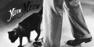 What Is a Black Cat Boyfriend?