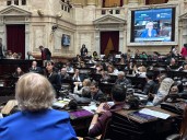 La comisión por el fentanilo se retrasó y el debate quedó sin dictamen en Diputados