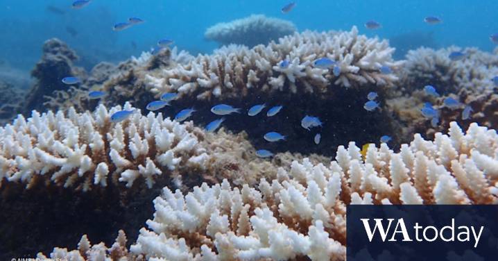 National Climate Risk Assessment: Report warns of rising mortality and economic impacts in Western Australia